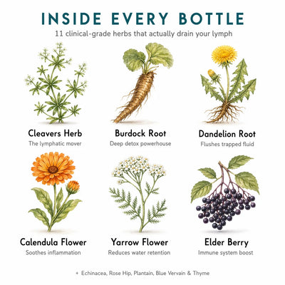 Daily Lymphatic & Immune Support